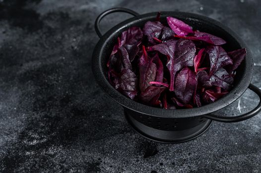 Leaves of Swiss red chard or Mangold salad in a colander. Black background. Top view. Copy space.