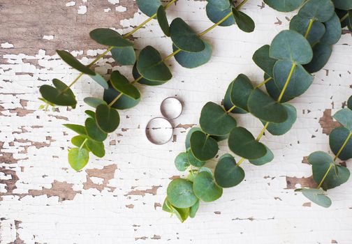 wedding rings on a white old table with a sprig of eucalyptus