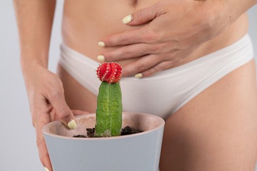 Woman in white panties holds a cactus with hand on her stomach