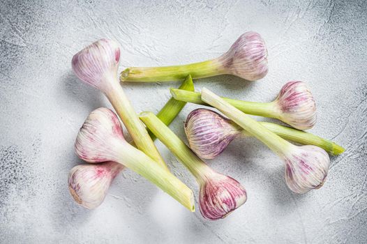 Fresh Spring young garlic bulbs on kitchen table. White background. Top view.