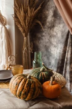 Autumn interior: a table covered with dishes, pumpkins, a relaxed composition of Japanese pampas grass. Interior in the photo Studio. Close - up of a decorated autumn table.