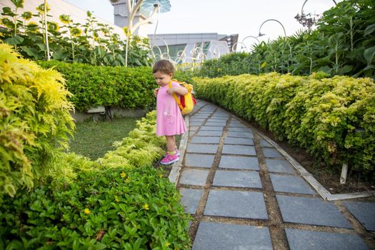 adorable infant girl in pink dress stand in park. cute toddler girl on park road