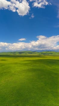 Nalati grassland with the blue sky. Shot in Xinjiang, China.