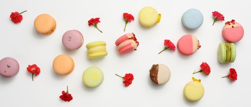 baked macarons with different flavors and rosebuds on a white background, top view