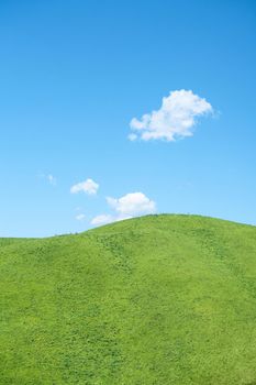 Nalati grassland with the blue sky. Shot in Xinjiang, China.