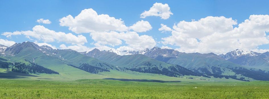 Nalati grassland with the blue sky. Shot in Xinjiang, China.