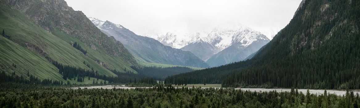 Snowy mountains and trees in a cloudy day. Khan Tengri Mountain, shot in Xinjiang, China.