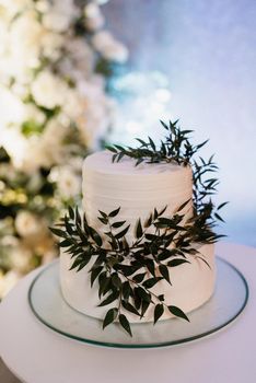 white wedding cake at the wedding of the newlyweds