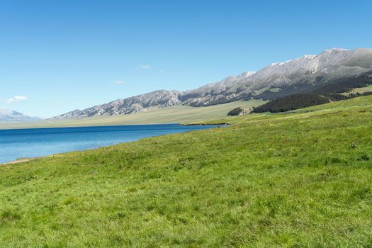 Lake and grassland with a sunny day. Shot in Sayram Lake, Xinjiang, China.