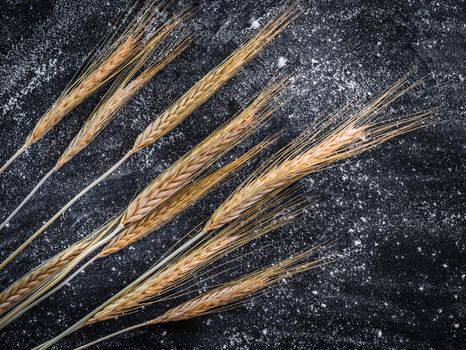 spikelets of wheat on a black textured table