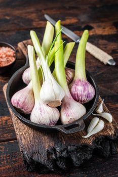 Young Spring garlic bulbs and cloves in a pan. Dark Wooden background. Top view.