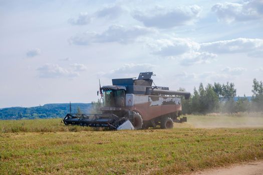 old harvester plows the field. harvester harvests wheat from a sown agricultural field summer day