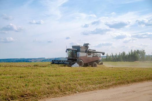 old harvester plows the field. harvester harvests wheat from a sown agricultural field summer day