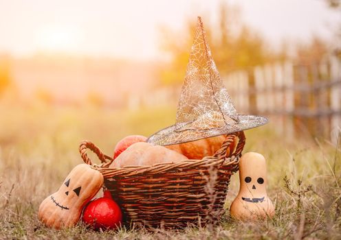 Decorated halloween pumpkins next to basket with witch hat on autumn nature