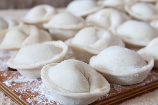 Process of making homemade pelmeni on wooden board. Traditional dish of Russian cuisine. Selective focus