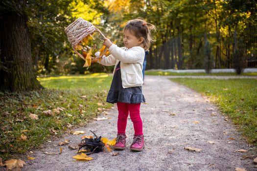 cute baby girl playing with basket and autumn maple leaves in autumn forest.