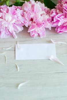 several branches of blooming pink peonies on a wooden background