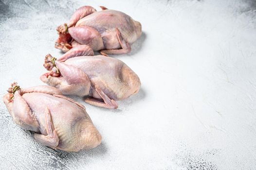 Raw quails on a kitchen table. White background. Top view. Copy space.