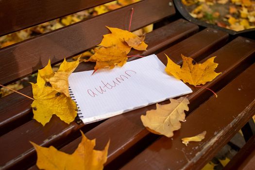 notepad with inscription autumn lies in park bench in autumn leaves in sun shining, angle view