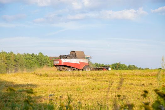 old combine harvester harvests from the field.