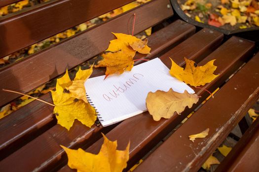 notepad with inscription autumn lies in park bench in autumn leaves in sun shining, angle view