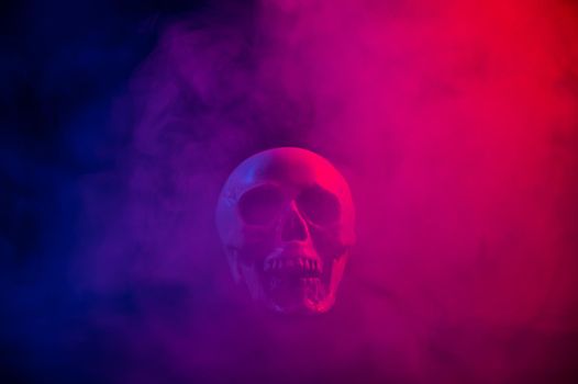 Human skull in pink and blue smoke on a black background. Halloween