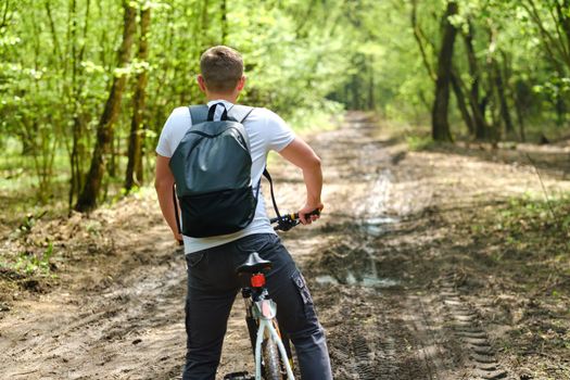 A group of cyclists with backpacks ride bicycles on a forest road enjoying nature.