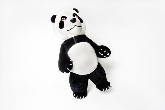 life-size panda doll with a man inside on a white isolated background.