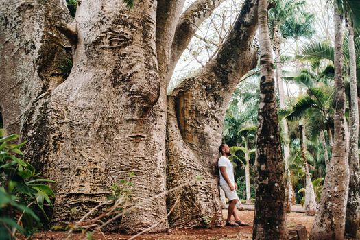 A man next to a baobab tree in a botanical garden on the island of Mauritius.