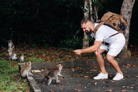 Mauritius island. a tourist with a backpack feeds monkeys by the side of the road in the jungle.A traveler in a white t shirt with a backpack plays with monkeys in Africa the island of Mauritius.