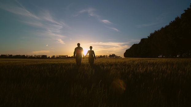 Silhouettes couple in love holding hands going through the yellow wheat field in sundown sun rays. man and woman outdoors enjoy freedom and nature. Beautiful sun in sunset summer season.