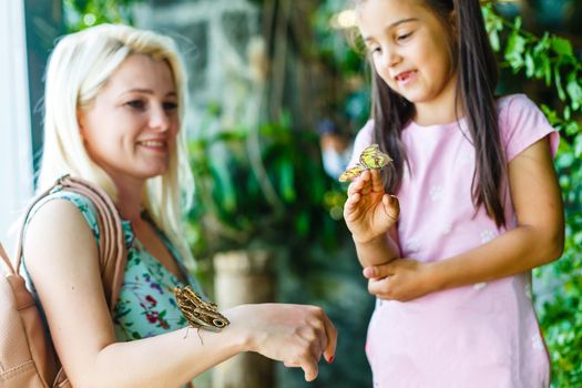 Little girl holding a butterfly in a field