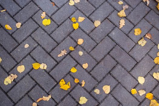 yellow fallen leaves lie on the tiles on the path in the park. top view. autumn road texture