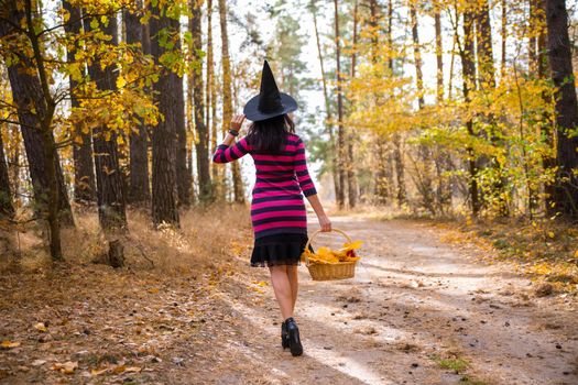 young attractive witch walks in the autumn orange forest. helloween concept