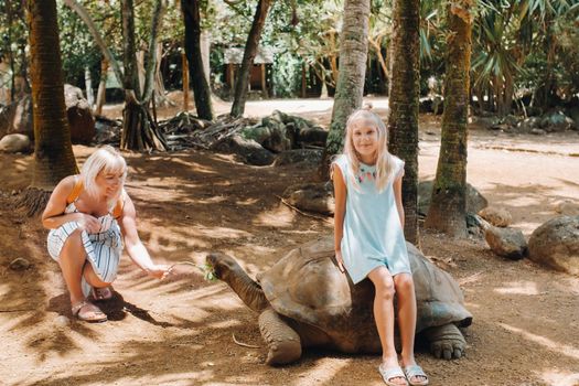 Fun activities in Mauritius. Family feeding giant tortoise in the zoo of the island of Mauritius.