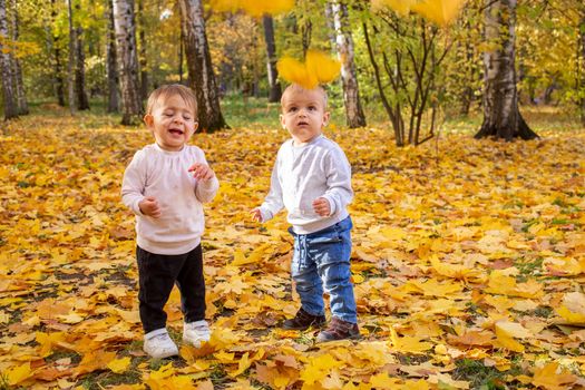 cheerful kids catching maple leaves falling in autumn city Park.