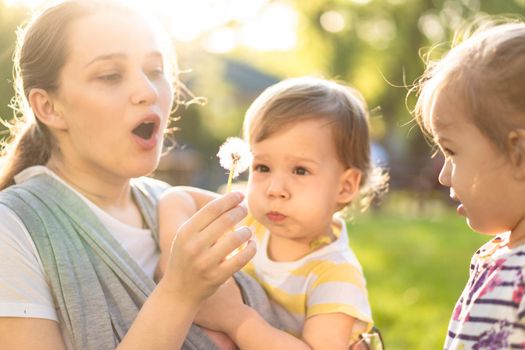 Motherhood, care, infants, summer, childhood and large families concept - Young big mom with newborn baby in sling and two small children of same age blow dandelion away in backlight of sunset in park.