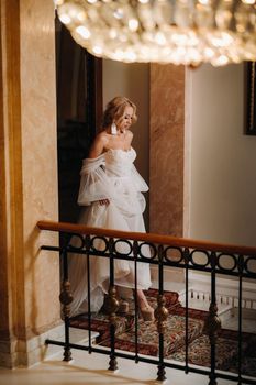 Portrait of a beautiful bride descending the stairs in the hall.