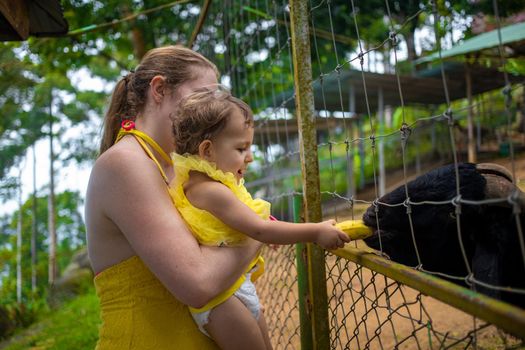 Adorable cute toddler girl with mother feeding goat on a kids farm. Beautiful baby child petting animals in the zoo. Excited and happy girl on family weekend.