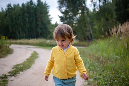little adorable toddler walking on country road in the summer field. children vacation on countryside