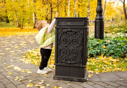 litte toddler throws trash into trash can in autumn park. instilling cultural norms from birth