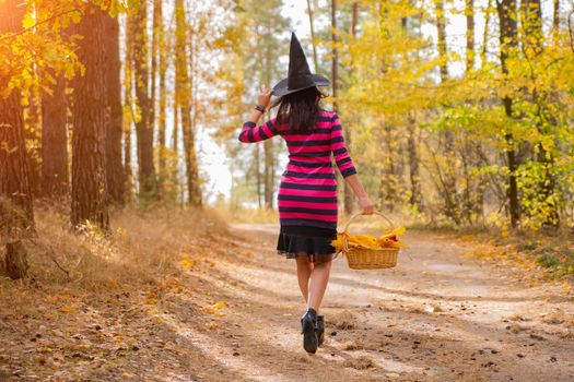 young attractive witch walks in the autumn orange forest. helloween concept