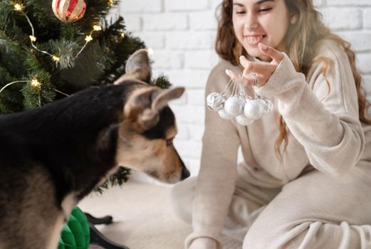 Merry christmas and happy new year. young attractive woman decorating the Christmas tree and playing with dogs