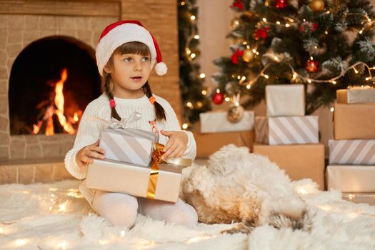 Astonish little girl with gift boxes sitting on floor and looking away, wearing white jumper and red santa claus hat, having two pigtails, posing near xmas tree and fireplace on soft carpet.