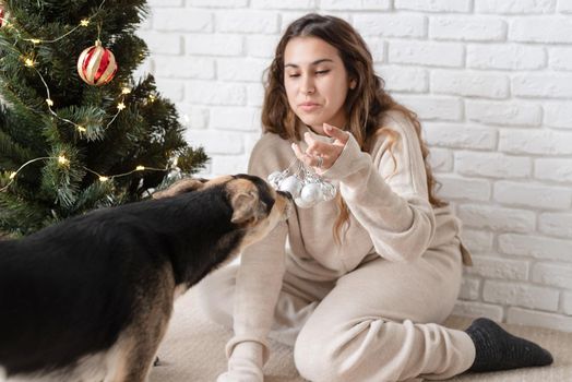 Merry christmas and happy new year. young attractive woman decorating the Christmas tree and playing with dogs