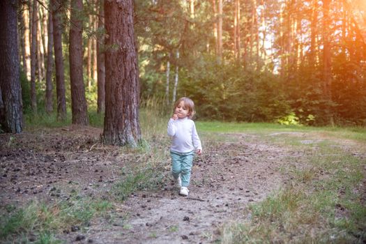adorable toddler walks in the woods forest sunny summer day