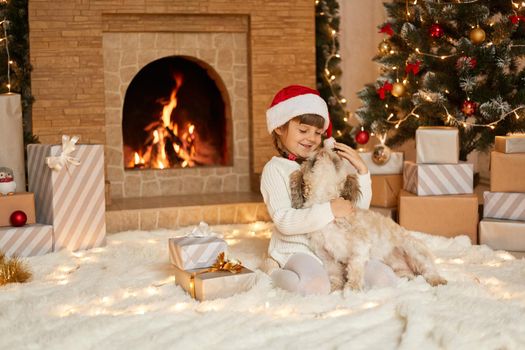 Happy female child playing with her favorite pet at home on Christmas eve, wearing casual attire and santa claus hat, kid looking at puppy, posing in decorated living room on soft white carpet.