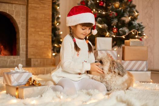 Little girl with puppy sitting on floor near fir tree, child playing with Pekingese dog in festive living room, kid wearing white jumper and santa claus hat, adorable preschooler on Christmas eve.