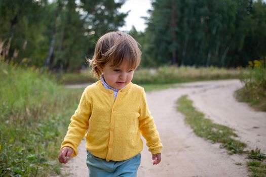 Toddler walking alone on a desolate country road. rural country sand road on ranch or farm in forest