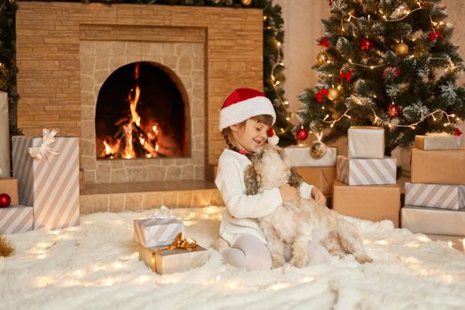 Happy kid in Christmas hat hugging puppy, dresses white sweater and santa claus hat, child looks at dog and laughs, poses on floor near fireplace, fir tree and gift boxes.